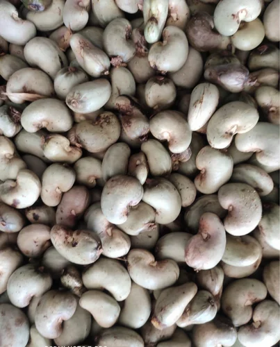 Cashew Nuts